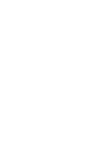 Government Entity