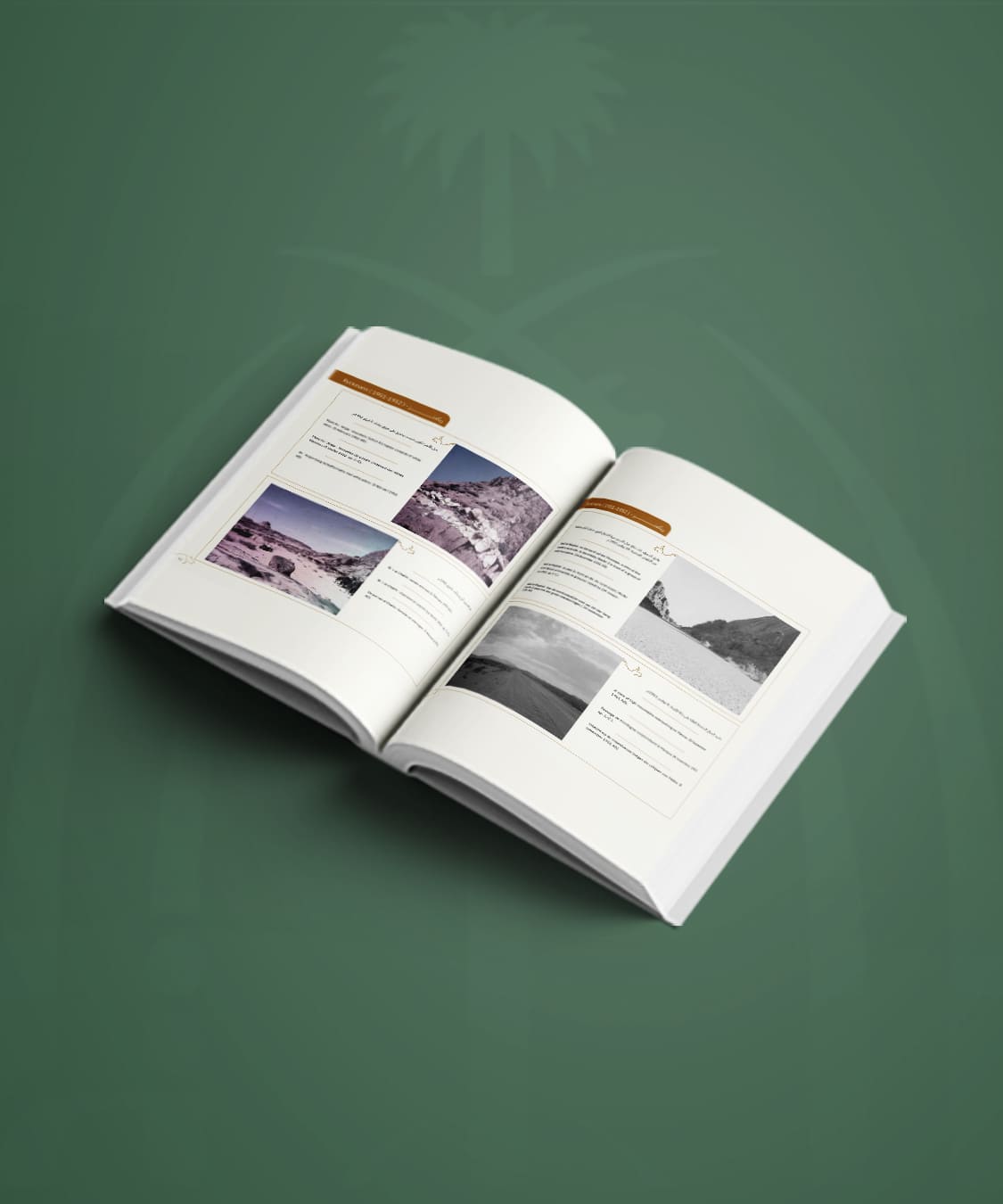 Digital Interface