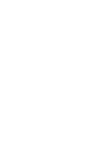 Government Entity