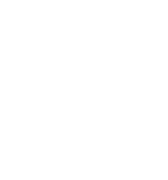 Government Authority